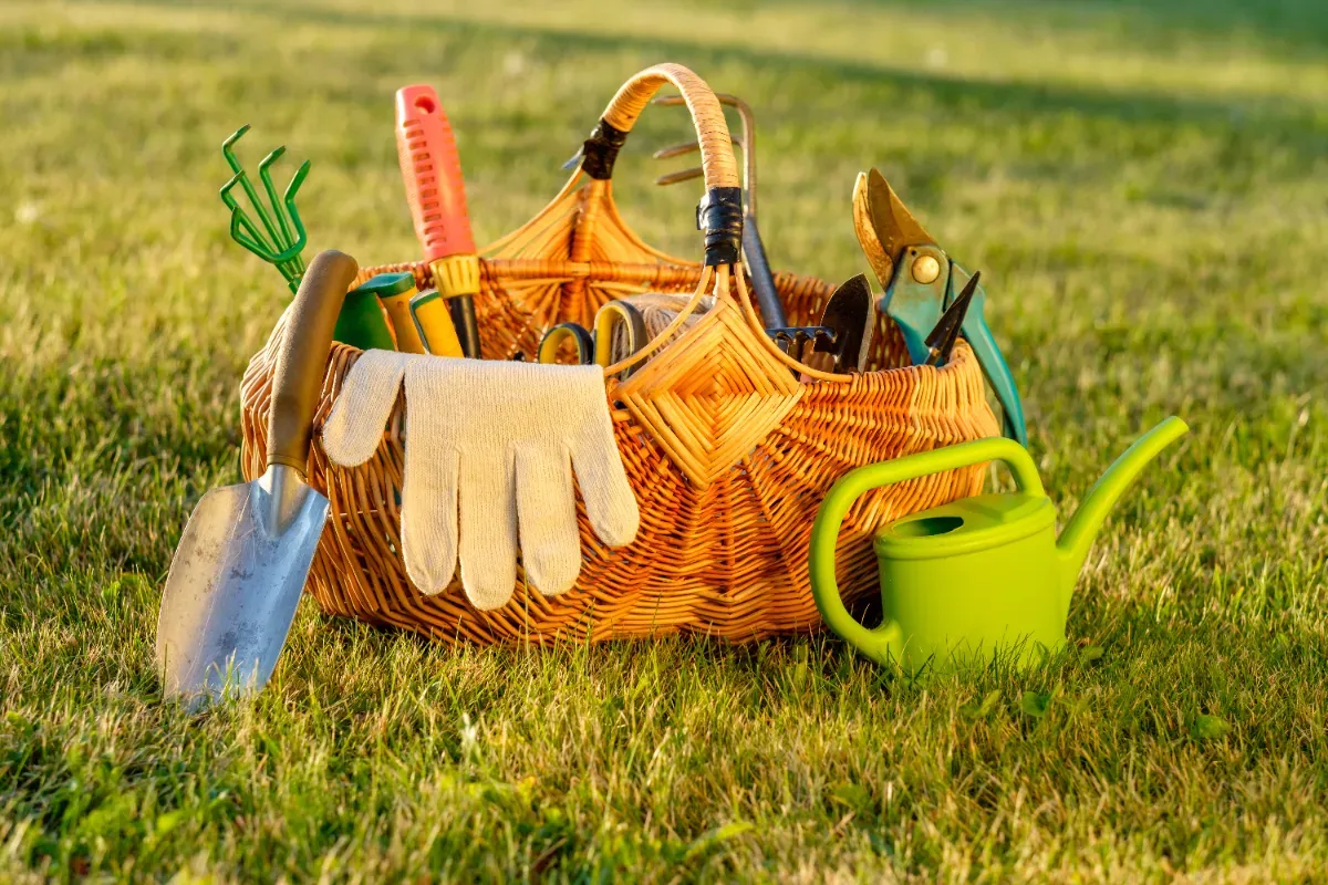 Come sconfiggere la ruggine sugli attrezzi da giardino