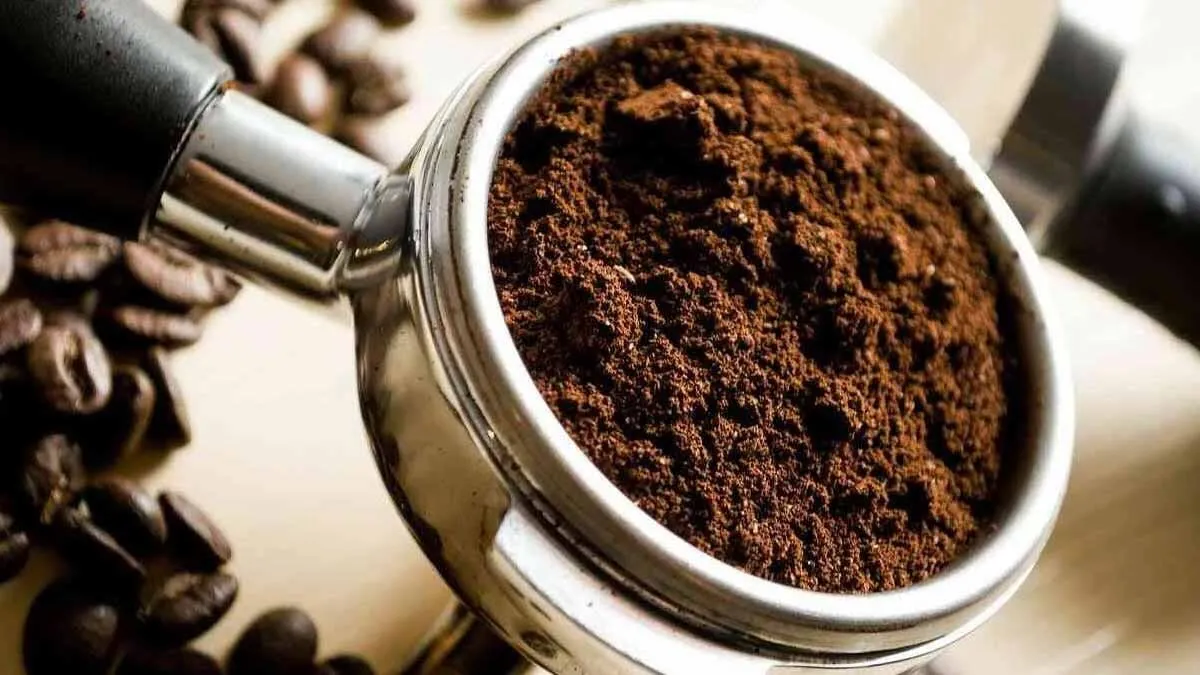 Trasforma i Fondi di Caffè in Nutrimento per il Tuo Giardino