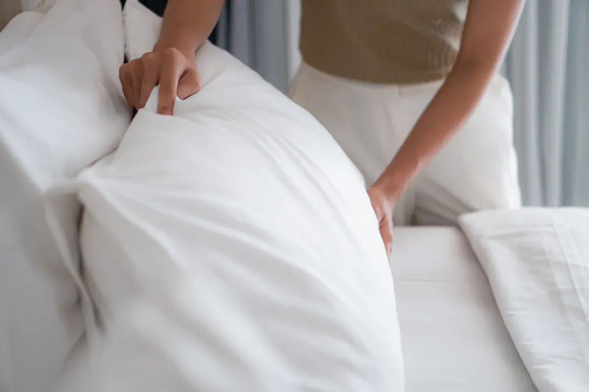 Uso del lauro in provenza: tradizione e benessere